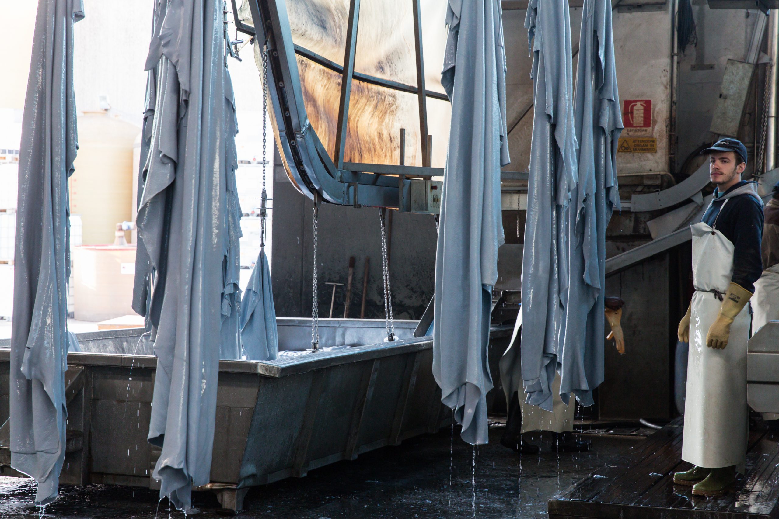 Leather hides suspended on an industrial processing line inside a tannery, illustrating the handling and treatment of leather during production.