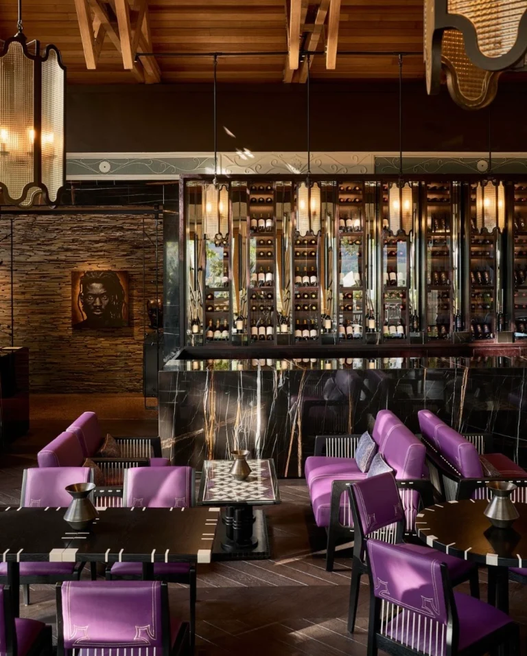 Wine Lounge at Delaire Graff Estate with Shelly Wineberry leather chairs
