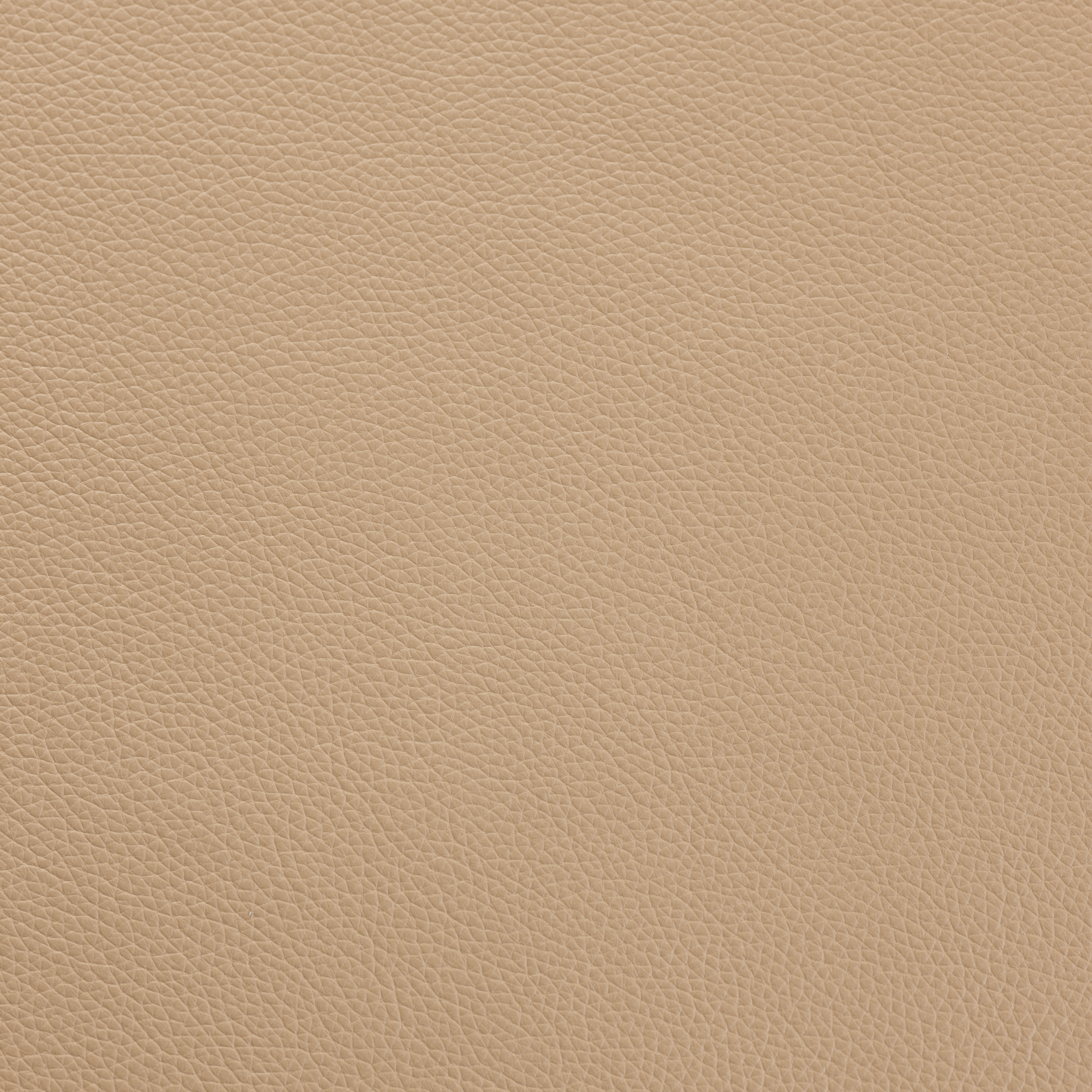 SHELLY DARK BEIGE
