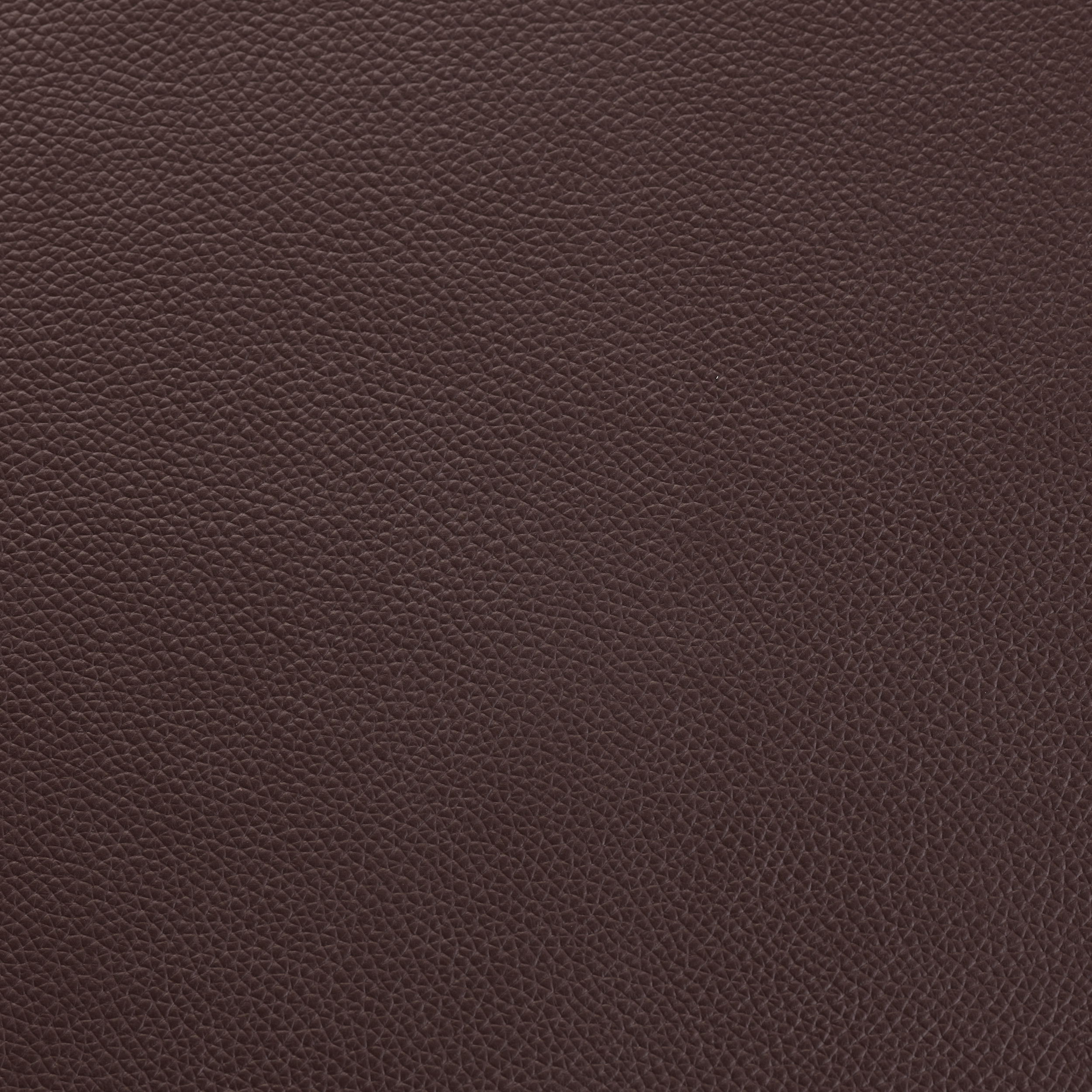 SHELLY MOCHA