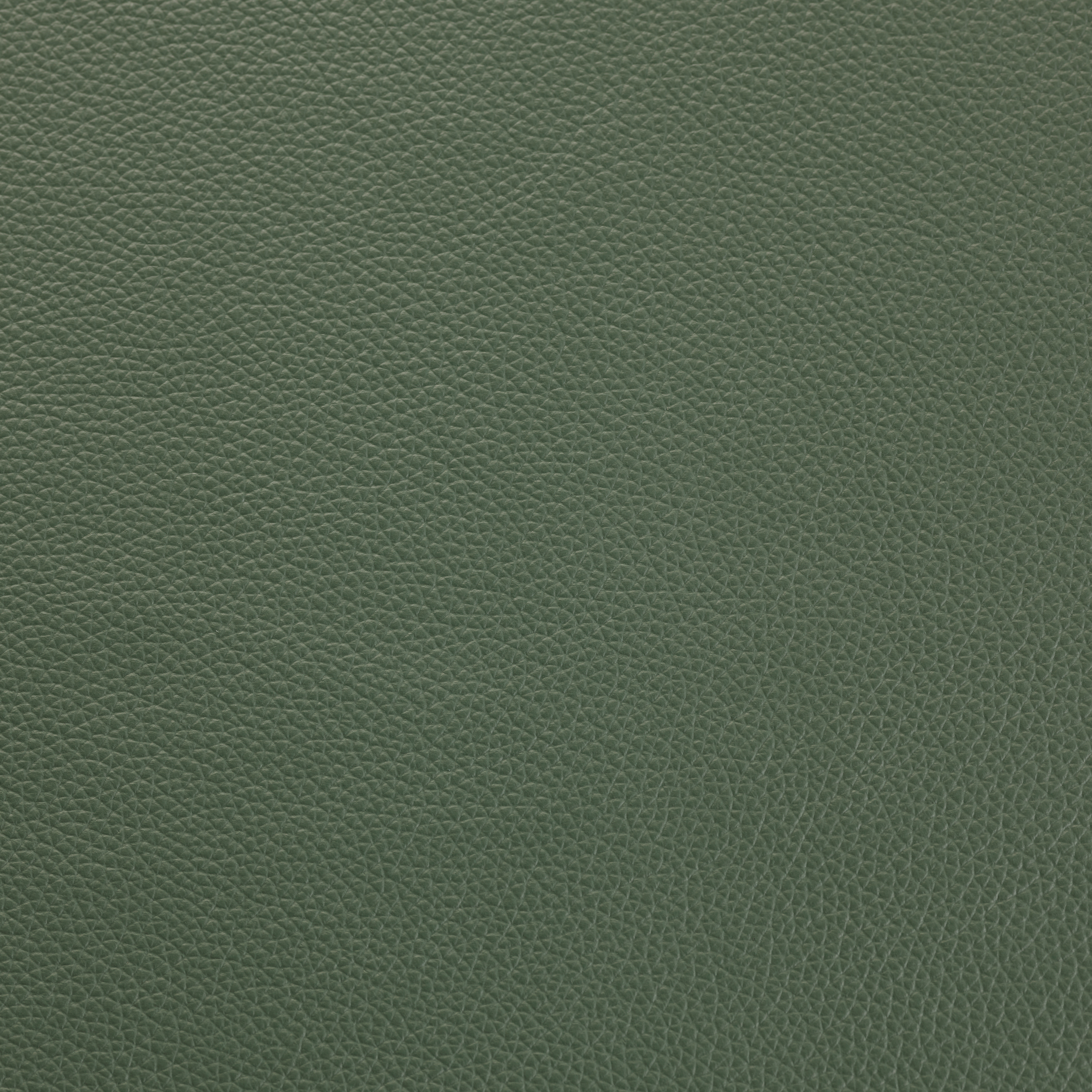 SHELLY LICHEN GREEN