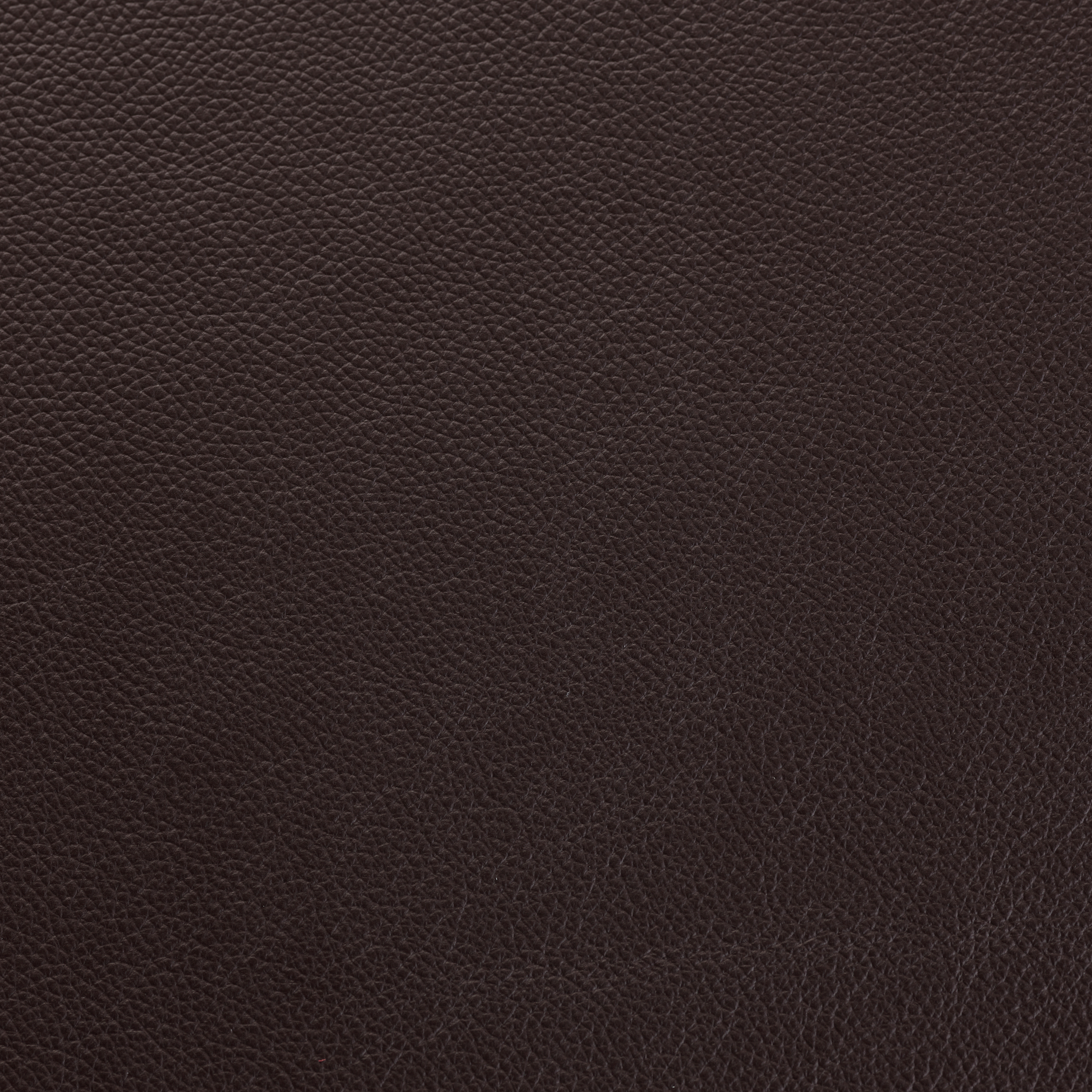 SHELLY DARK CHOCOLATE
