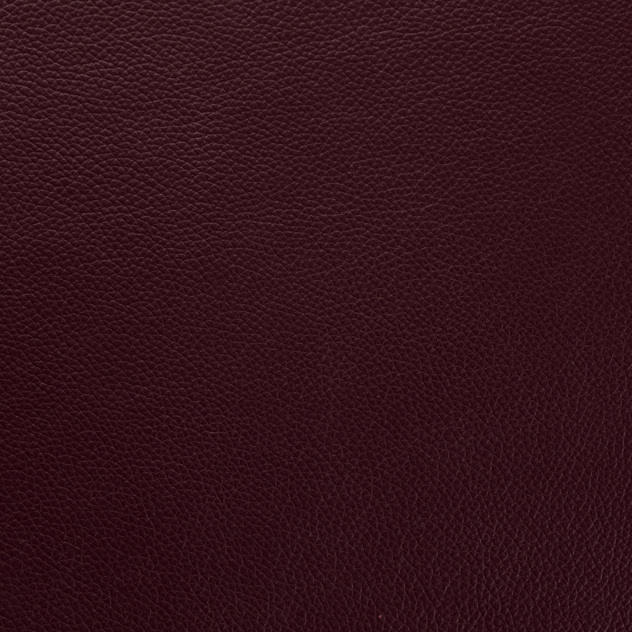 SHELLY DARK GRAPE