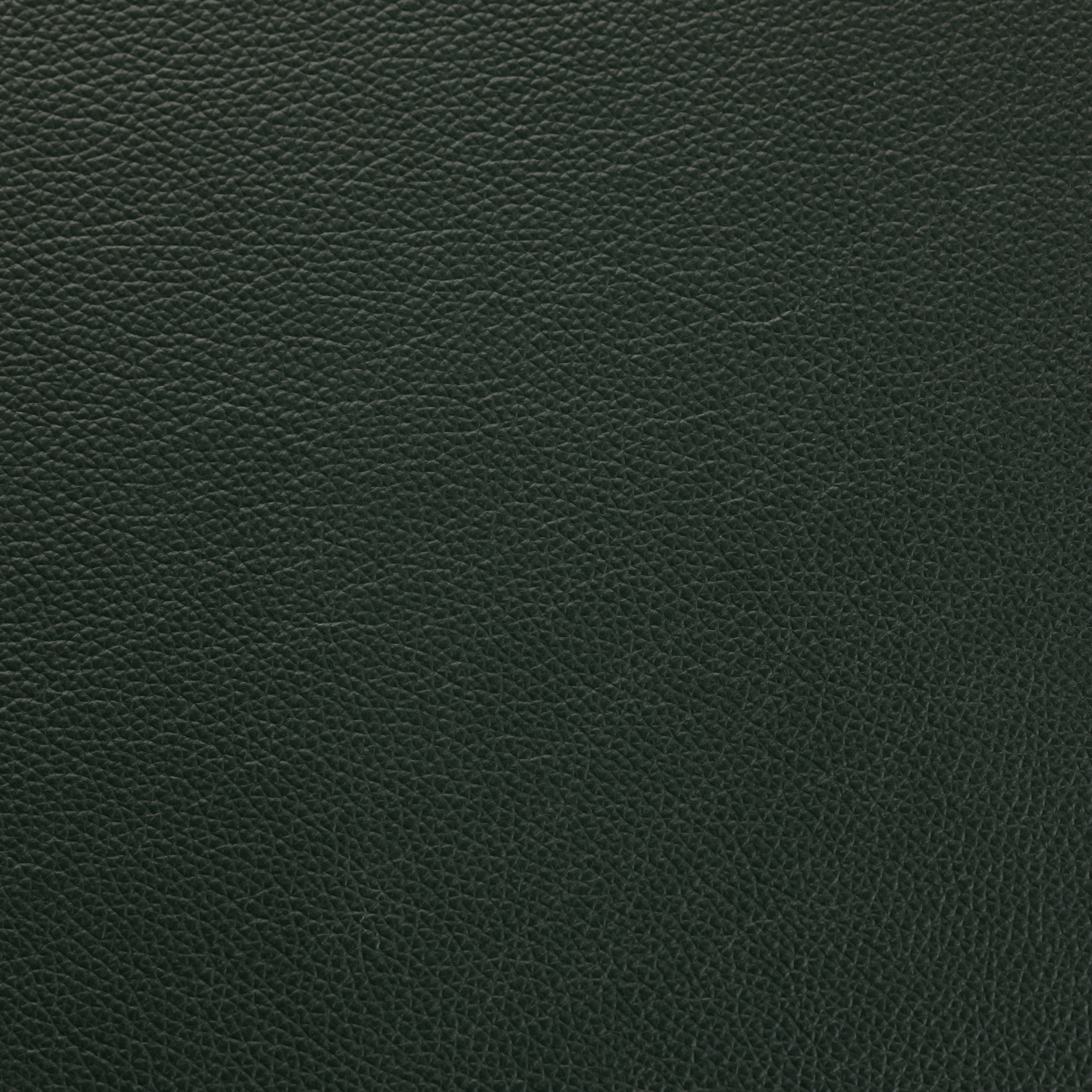 SHELLY FOREST GREEN
