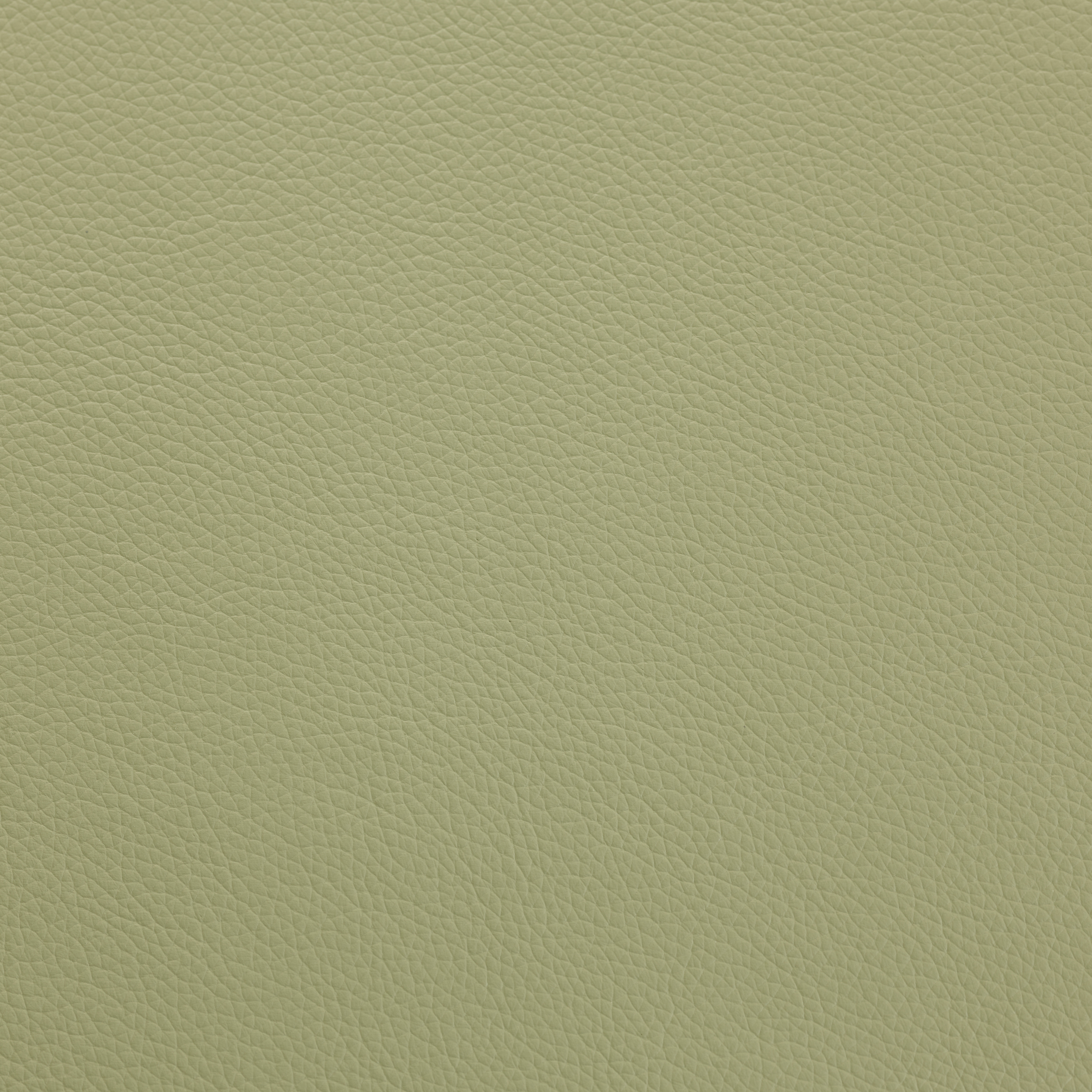 SHELLY PEA GREEN