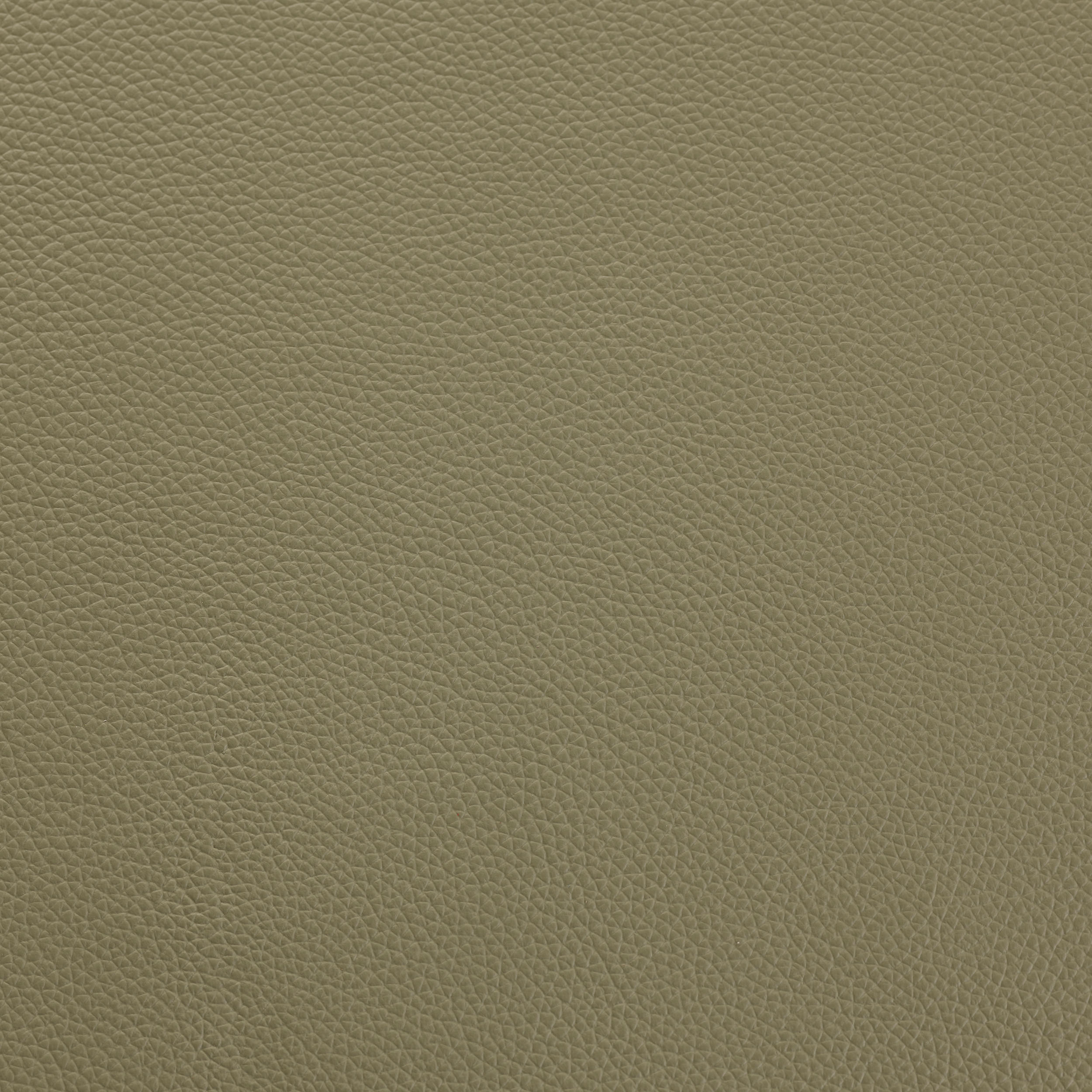 SHELLY THYME GREEN