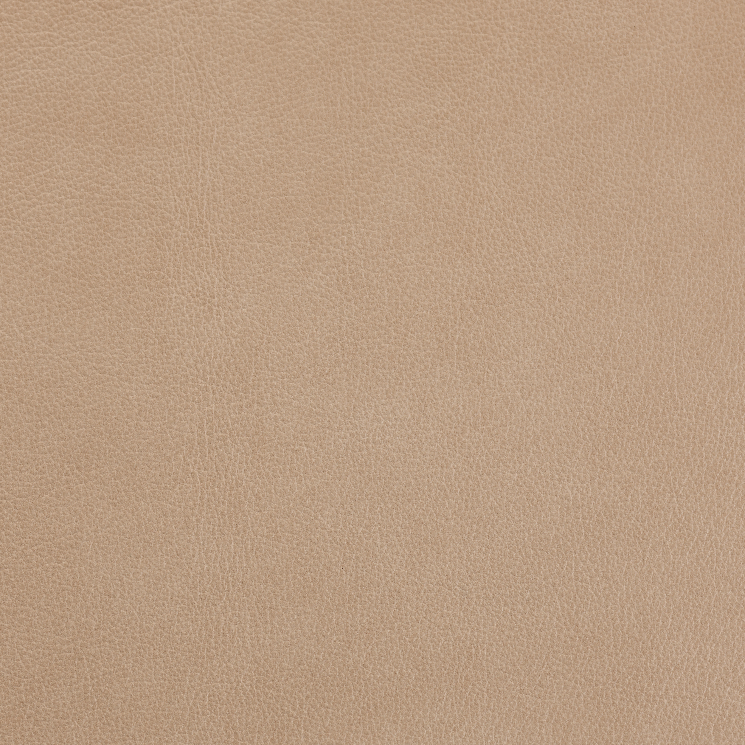 AUSTEN LIMESTONE