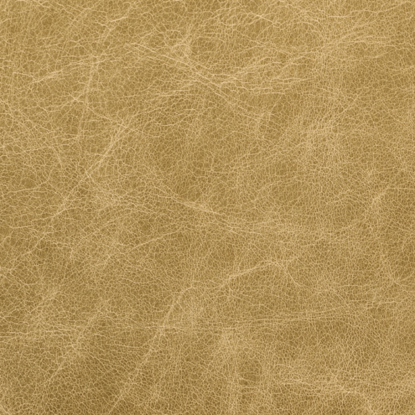 OLD ENGLISH PARCHMENT