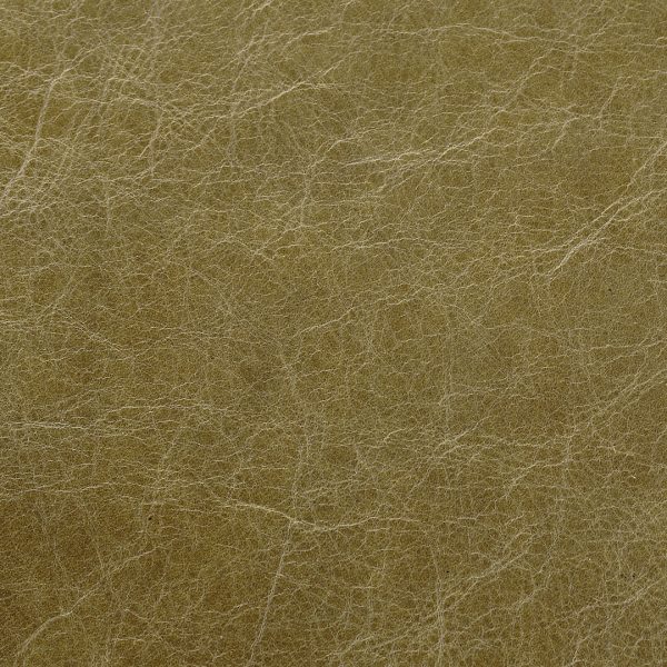 OLD ENGLISH ALGA