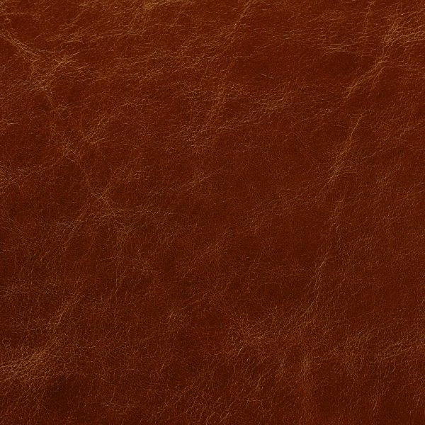 OLD ENGLISH CHESTNUT