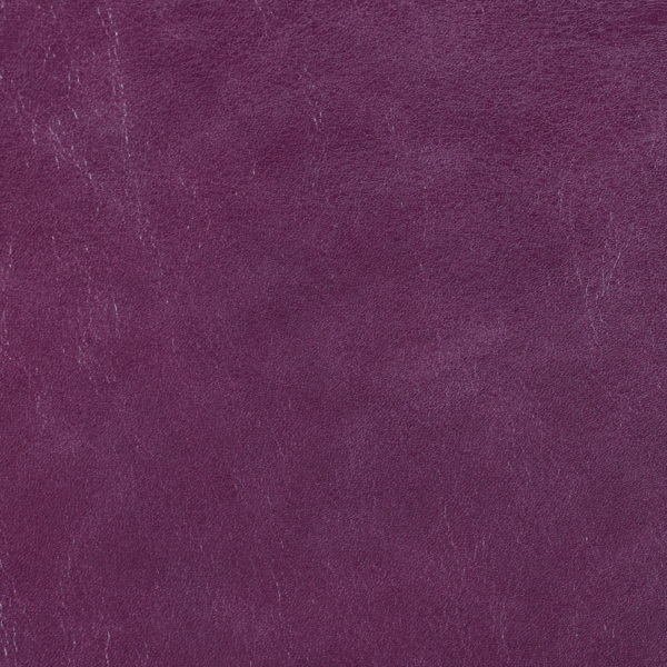 OLD ENGLISH PLUM